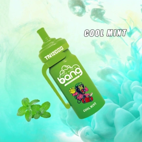 Bang TN12000 Puffs Vape - Cool Mint: Een Verfrissende Revolutie in de Nederlandse Vape Markt van 2025